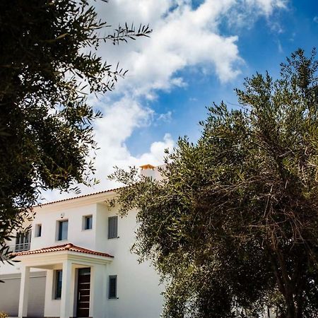Villa Despoina Πάφος Εξωτερικό φωτογραφία