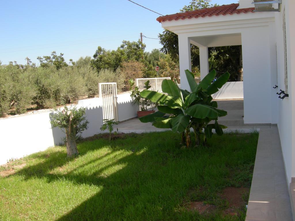 Villa Despoina Πάφος Εξωτερικό φωτογραφία