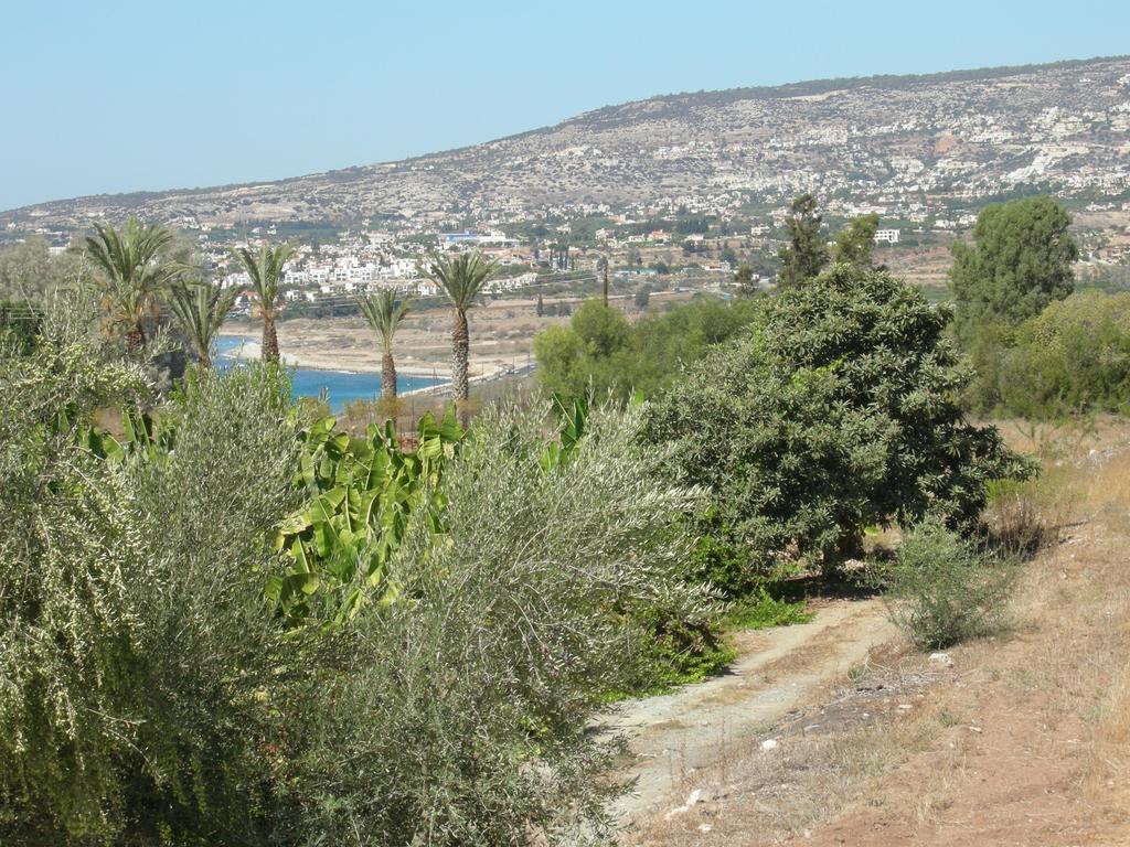 Villa Despoina Πάφος Εξωτερικό φωτογραφία