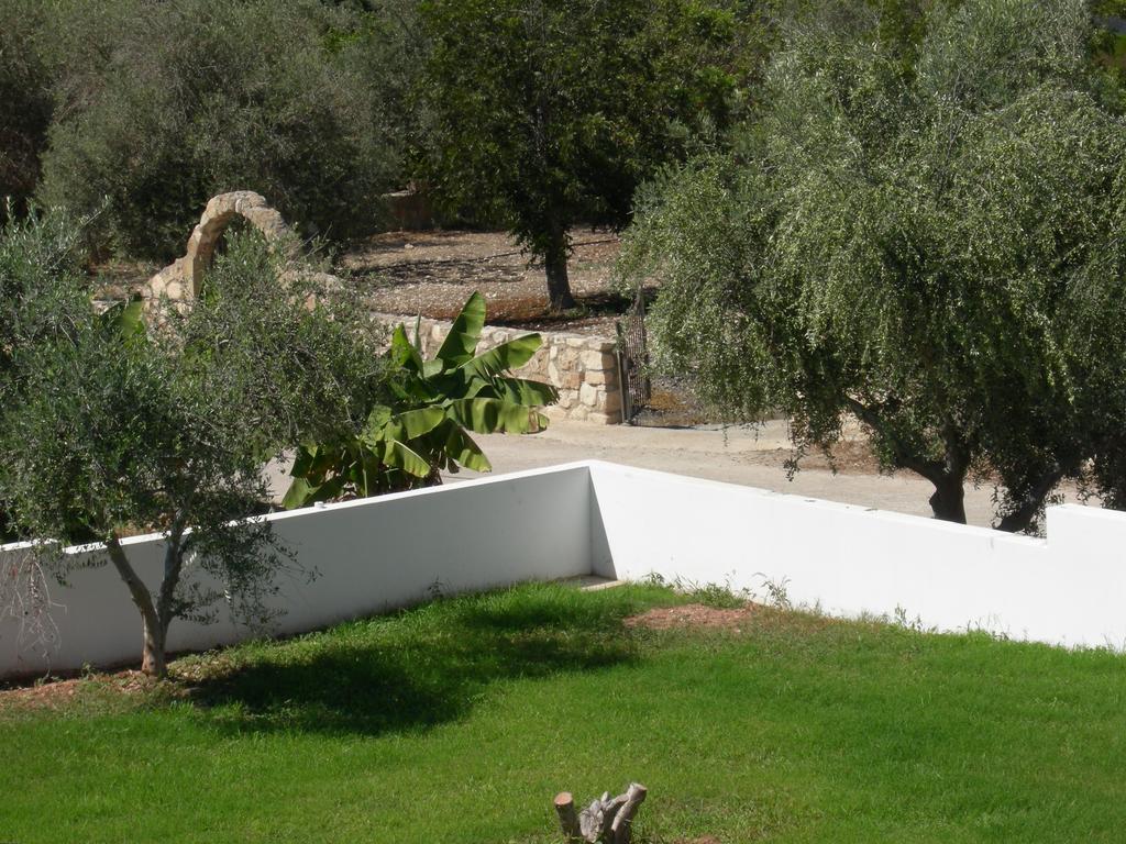 Villa Despoina Πάφος Εξωτερικό φωτογραφία