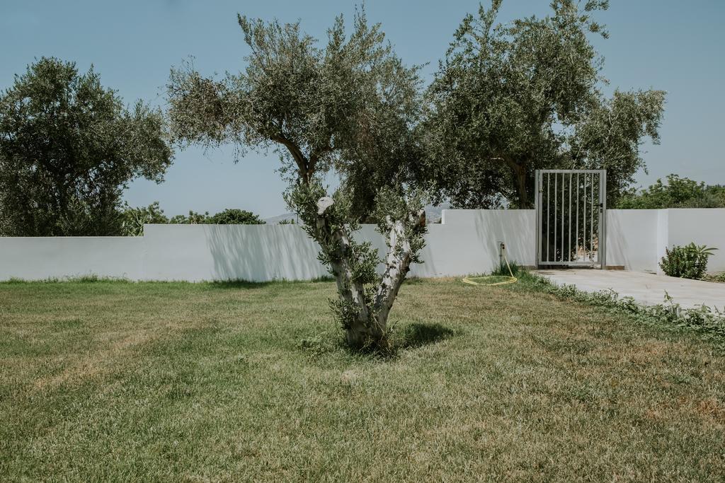 Villa Despoina Πάφος Εξωτερικό φωτογραφία